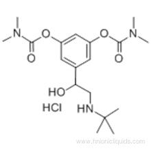 Bambuterol hydrochloride CAS 81732-46-9